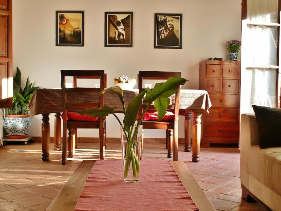 Apartamento Oasis グラナダ エクステリア 写真